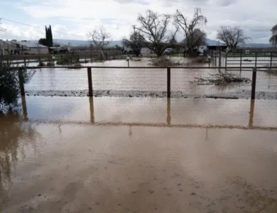 Oahu Faces Worst Flooding In 20 Years