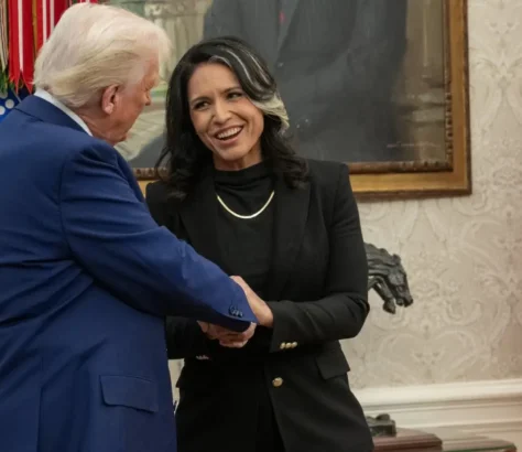 Tulsi Gabbard Defends Trump After Scathing Remarks By Counterterrorism Chief