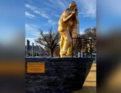 ‘Make America Safe Again’ Banners Flank New Statue Mocking Trump And Epstein