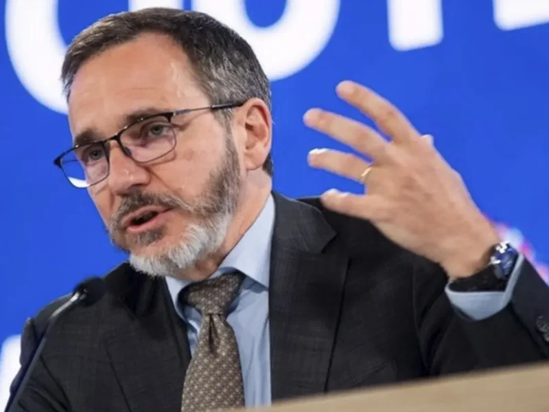 IMF Backs Dollar: Still A Global Safe Haven