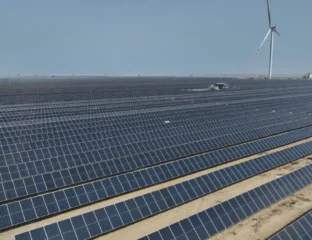 India Tops 50% Non-Fossil Capacity