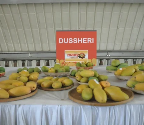 India’s Handicraft, Mango Exports Hit Badly By Middle East War