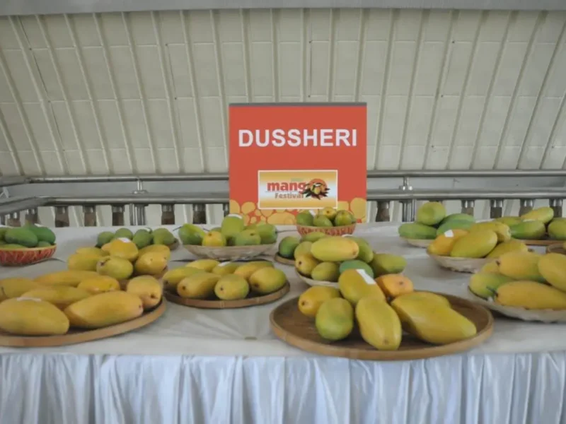 India’s Handicraft, Mango Exports Hit Badly By Middle East War