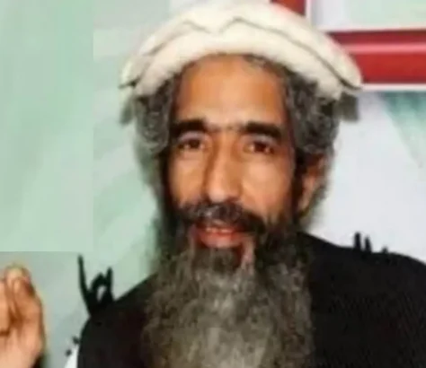 LeT co-founder Amir Hamza injured in shooting.