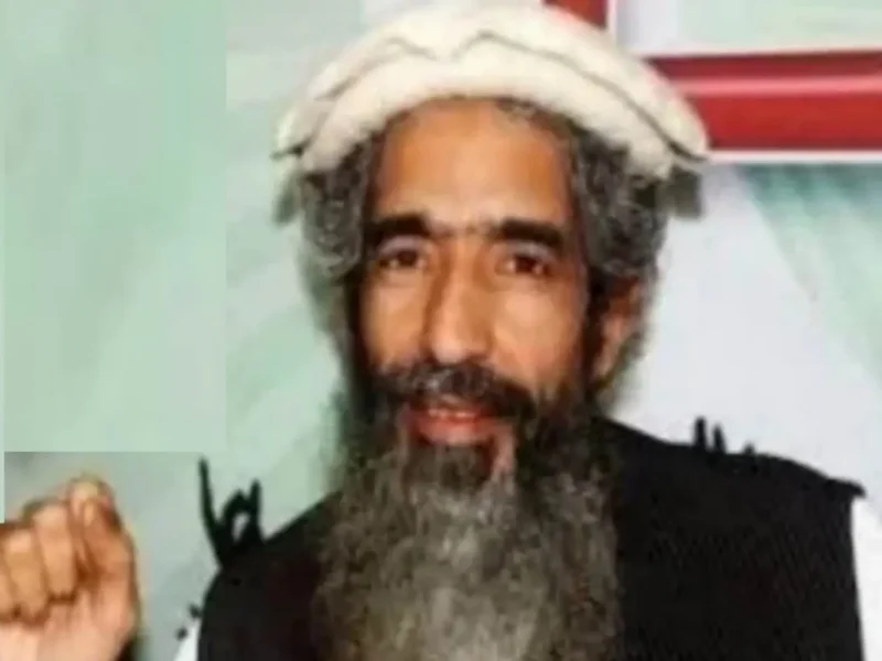 Terror Group LeT Co-Founder Amir Hamza Shot At, Injured