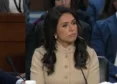 Trump Weighed Firing Gabbard, Backed Off After Roger Stone Intervention