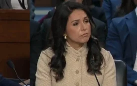 Donald Trump considered firing Tulsi Gabbard