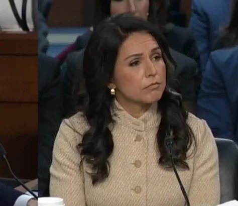 Donald Trump considered firing Tulsi Gabbard