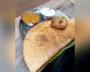 Dosa On World’s Top Pancakes List