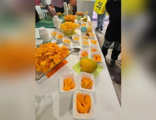 Indian mangoes Seattle store