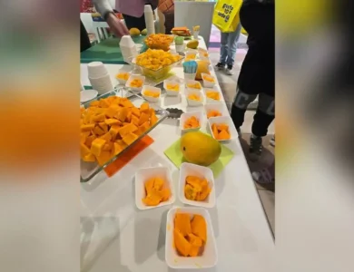 Indian mangoes Seattle store