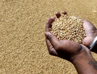 India Foodgrain Production 2025-26