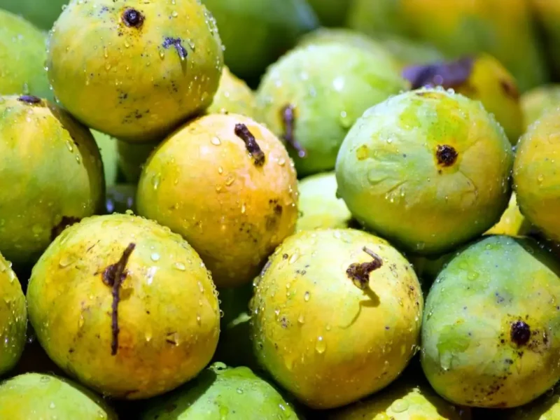 India’s Signature Crops Are Finding A Global Stage