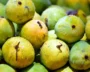India’s Signature Crops Are Finding A Global Stage