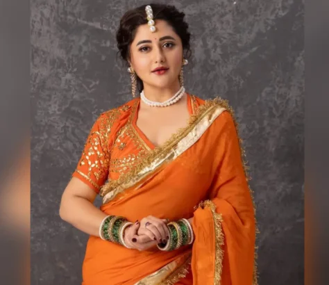 Rashami Desai Television Success