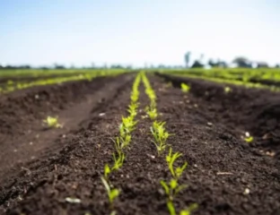 India Climate Story Farms