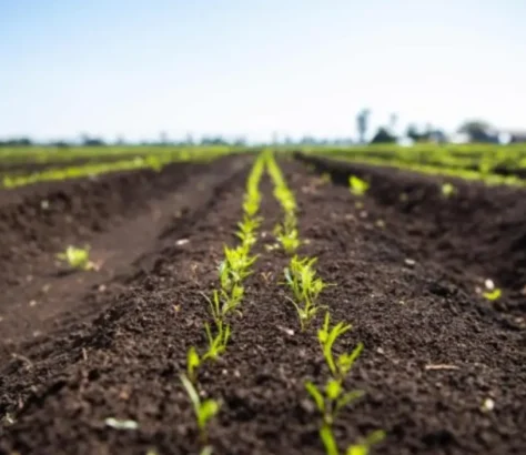 India Climate Story Farms