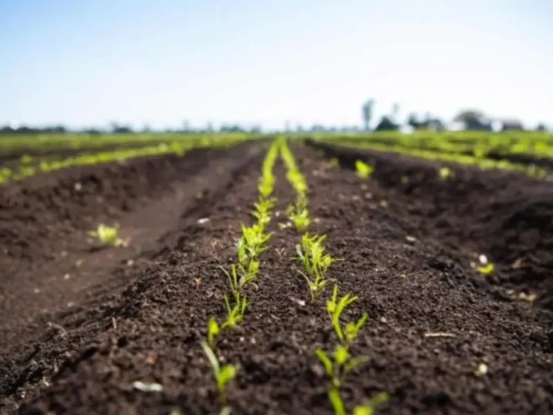 India Climate Story Farms