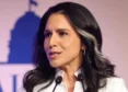 Tulsi Gabbard intelligence reforms