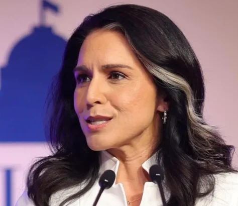 Tulsi Gabbard intelligence reforms
