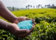 US Senators Discuss India’s Massive Fertilizer Imports And Rising Costs