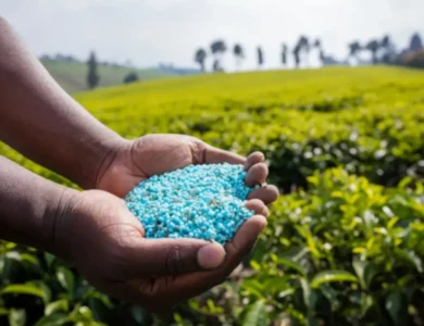 US Senators Discuss India’s Massive Fertilizer Imports And Rising Costs