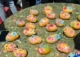 San Francisco Mango Pop-Up