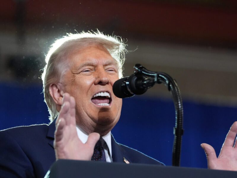Trump Assault: Fires Election Assistance Commission Members Ahead Of Midterms
