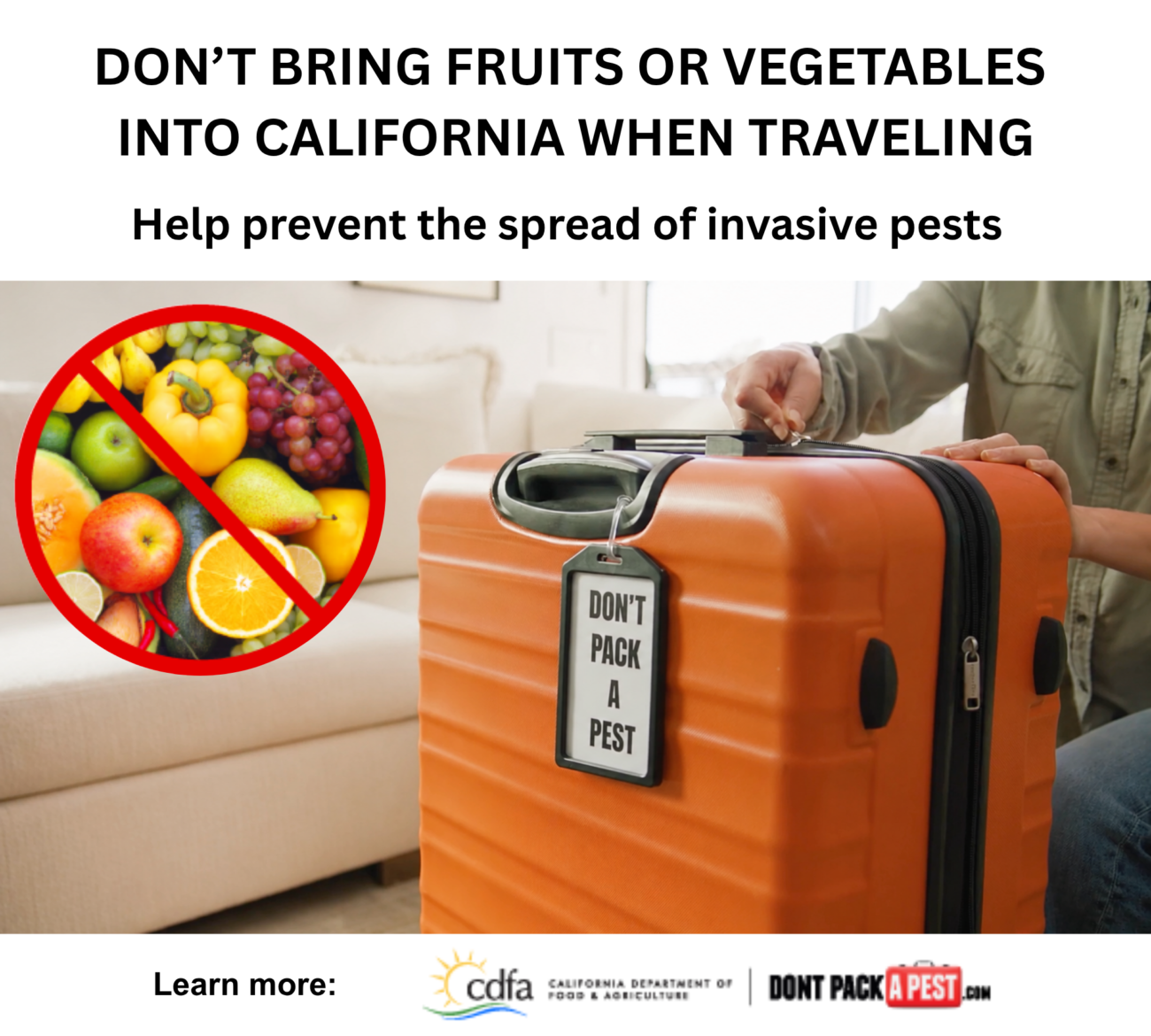 As Summer Travel And CA Tourism Increase, Officials Remind Travelers: Don’t Pack A Pest