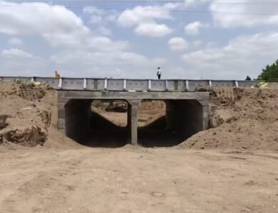 Gujarat Unveils India's First Lion Railway Underpass