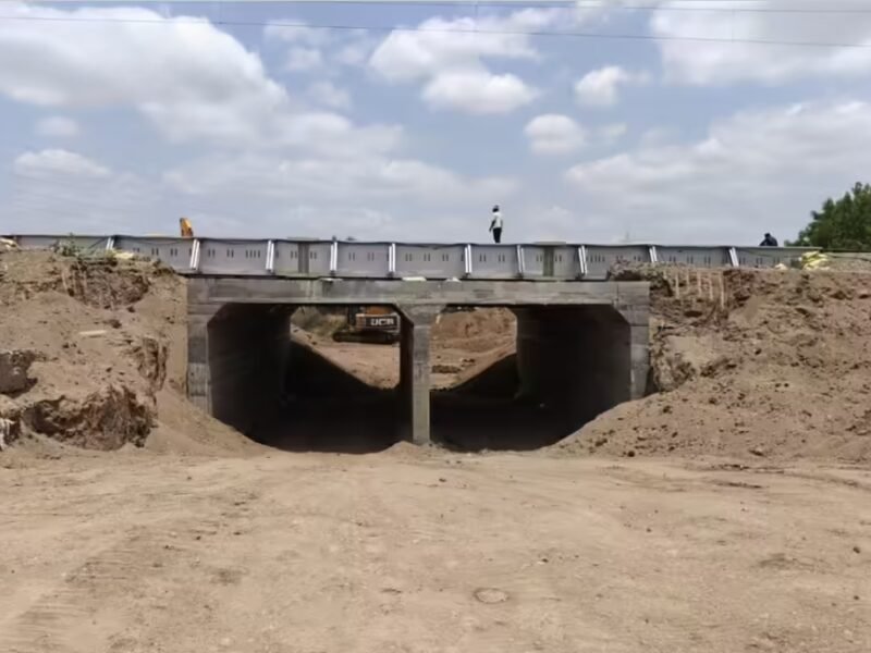 Gujarat Unveils India's First Lion Railway Underpass