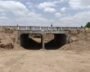 Gujarat Unveils India's First Lion Railway Underpass