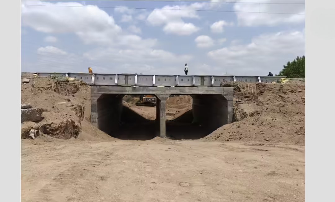 Gujarat Unveils India's First Lion Railway Underpass