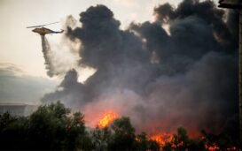 Protecting Your Health During A Wildfire