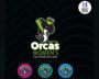 Seattle Orcas Set To Debut Women’s T20 Cricket Tournament In August