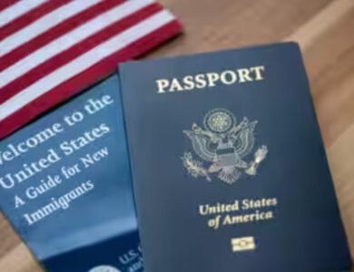 Trump Mulls $100,000 OPT Fee For International Graduates