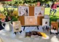 Large Turnout At Art of Living Yoga Event In Rancho Cordova