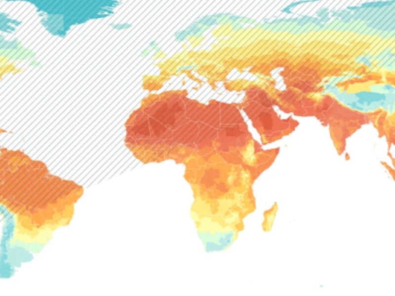 University Of Chicago Study Highlights Disparities In Climate Survival