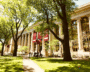 Harvard's Mittal Institute Invites Applications For India Fellowship 2026-27