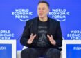 Elon Musk Now Says He Went Too Far Into Politics, No Regret About DOGE Stint