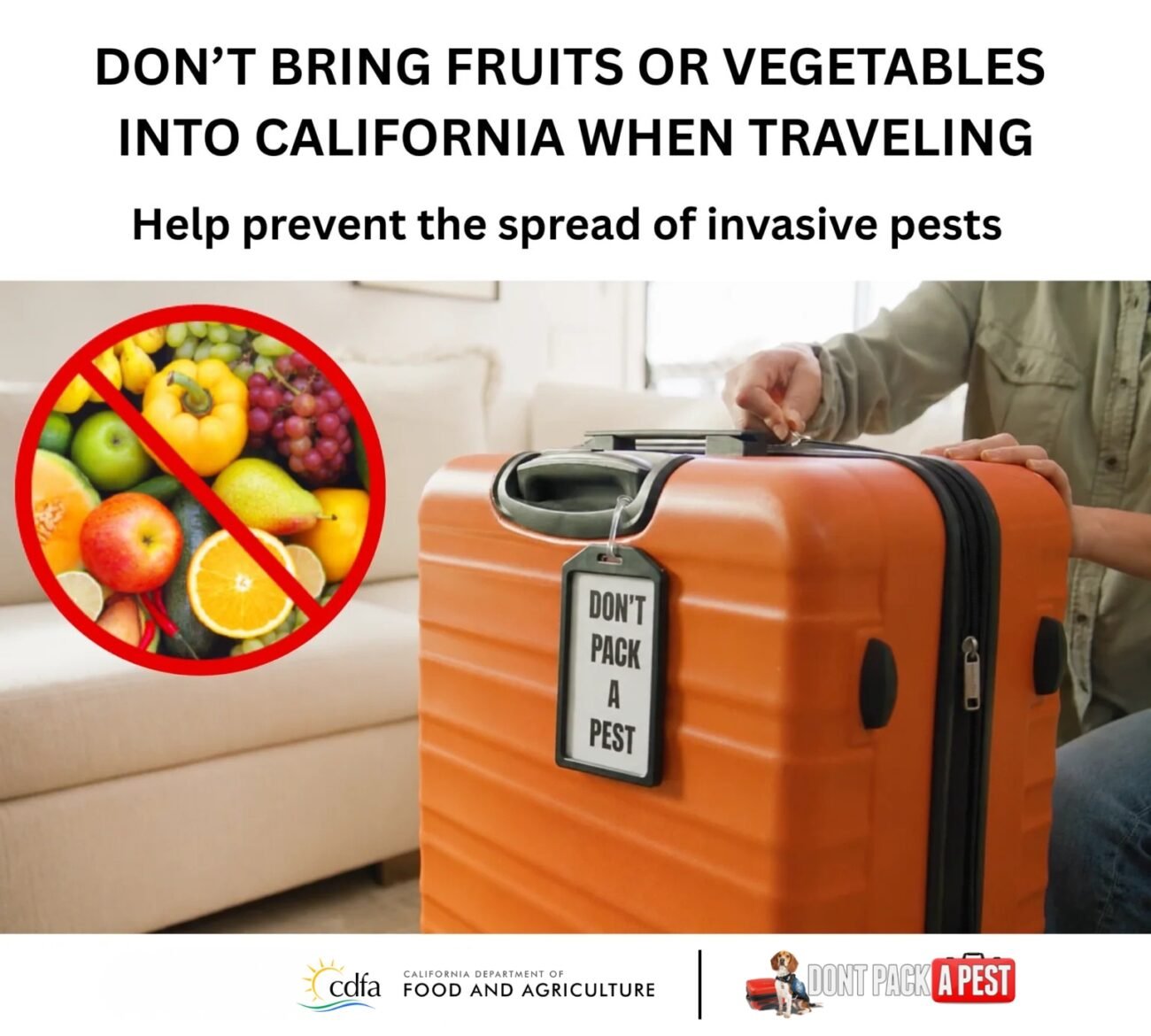 As Summer Travel And CA Tourism Increase, Officials Remind Travelers: Don’t Pack A Pest