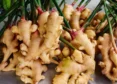 Wellness - Healing With Ginger