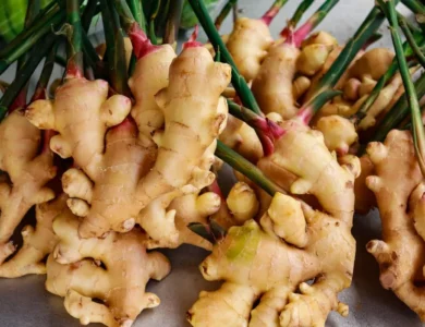Wellness - Healing With Ginger