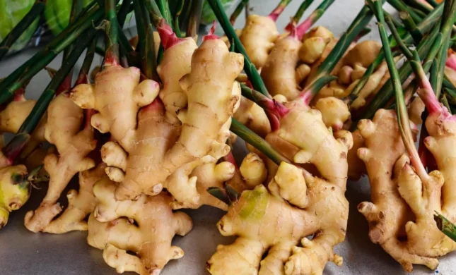 Wellness - Healing With Ginger