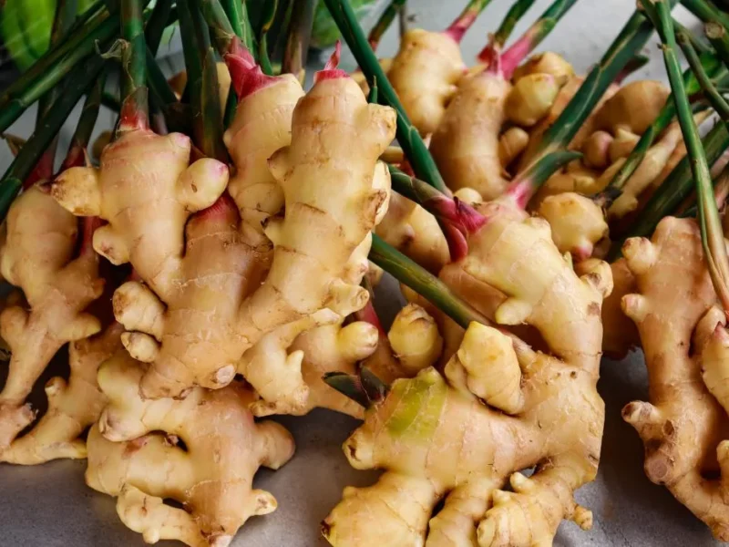 Wellness - Healing With Ginger