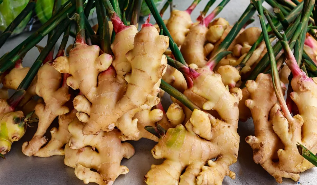 Wellness - Healing With Ginger