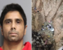 Murder Charges Against Pasadena Doc Dharmesh Patel, Accused In Tesla Cliff Crash, Dismissed