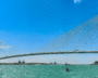 Gordie Howe Bridge, In Thanedar’s District, Set To Open After Toll Deal Struck