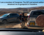 Ro Khanna Calls For Probe After Confrontation By Israeli Settlers, Soldiers