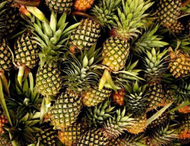 Tripura’s Queen Pineapple
